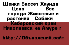 Щенки Бассет Хаунда  › Цена ­ 25 000 - Все города Животные и растения » Собаки   . Хабаровский край,Николаевск-на-Амуре г.